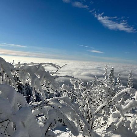 Kostelapartmany Ліберець Екстер'єр фото