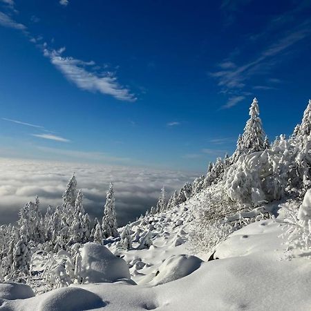Kostelapartmany Ліберець Екстер'єр фото